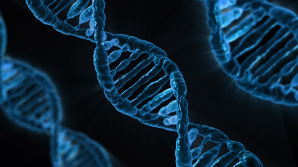 Longevity & anti-aging: de wetenschap van langer en gezonder leven