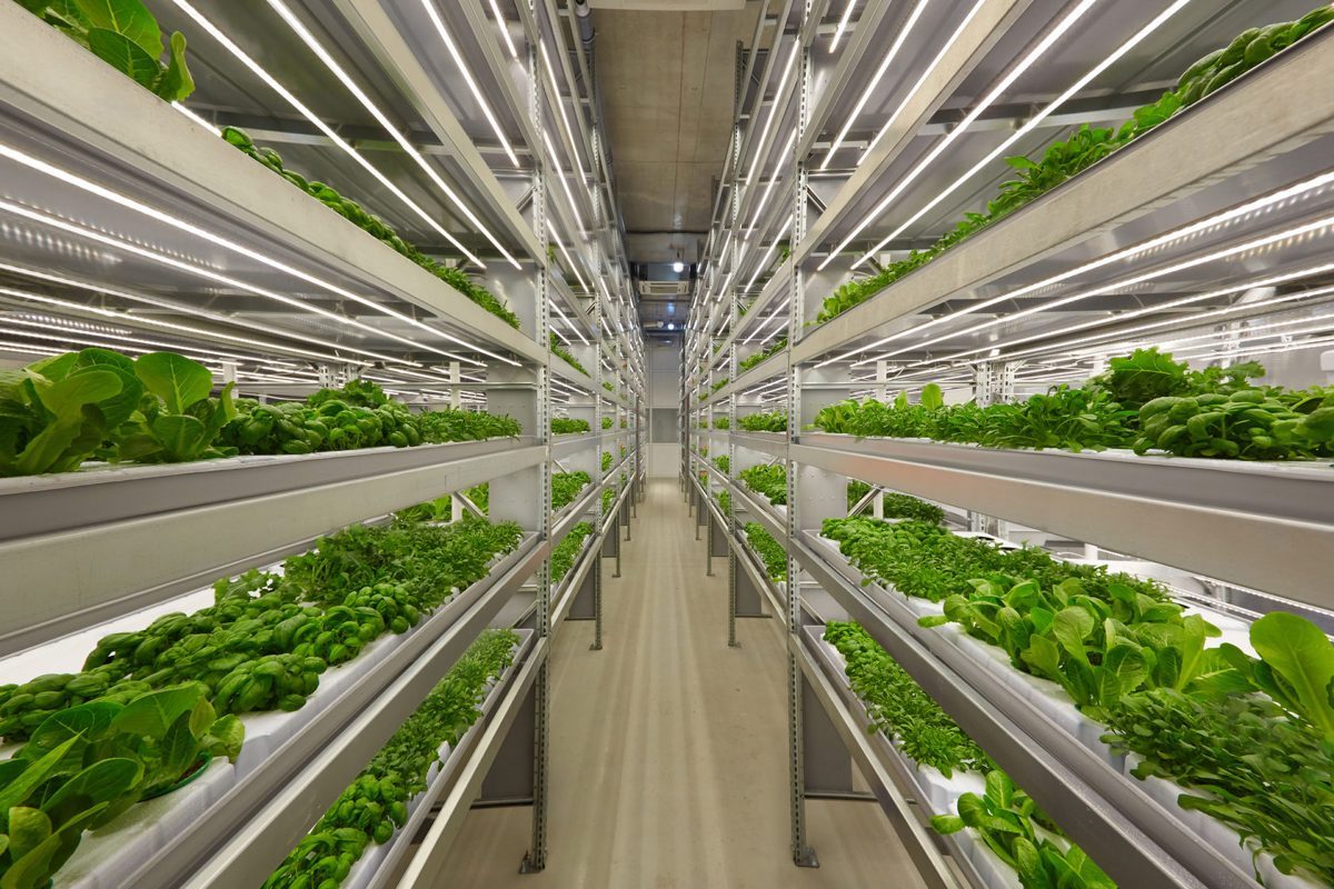 Vertical farming en precisielandbouw: voedsel telen in torens en met data