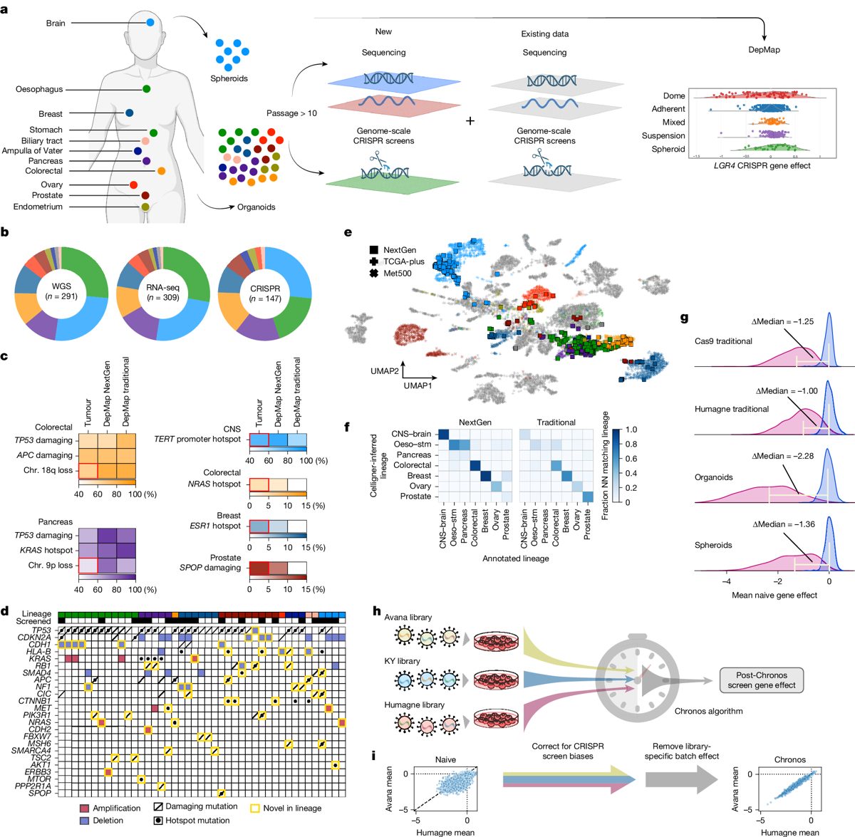 CRISPR & genbewerking