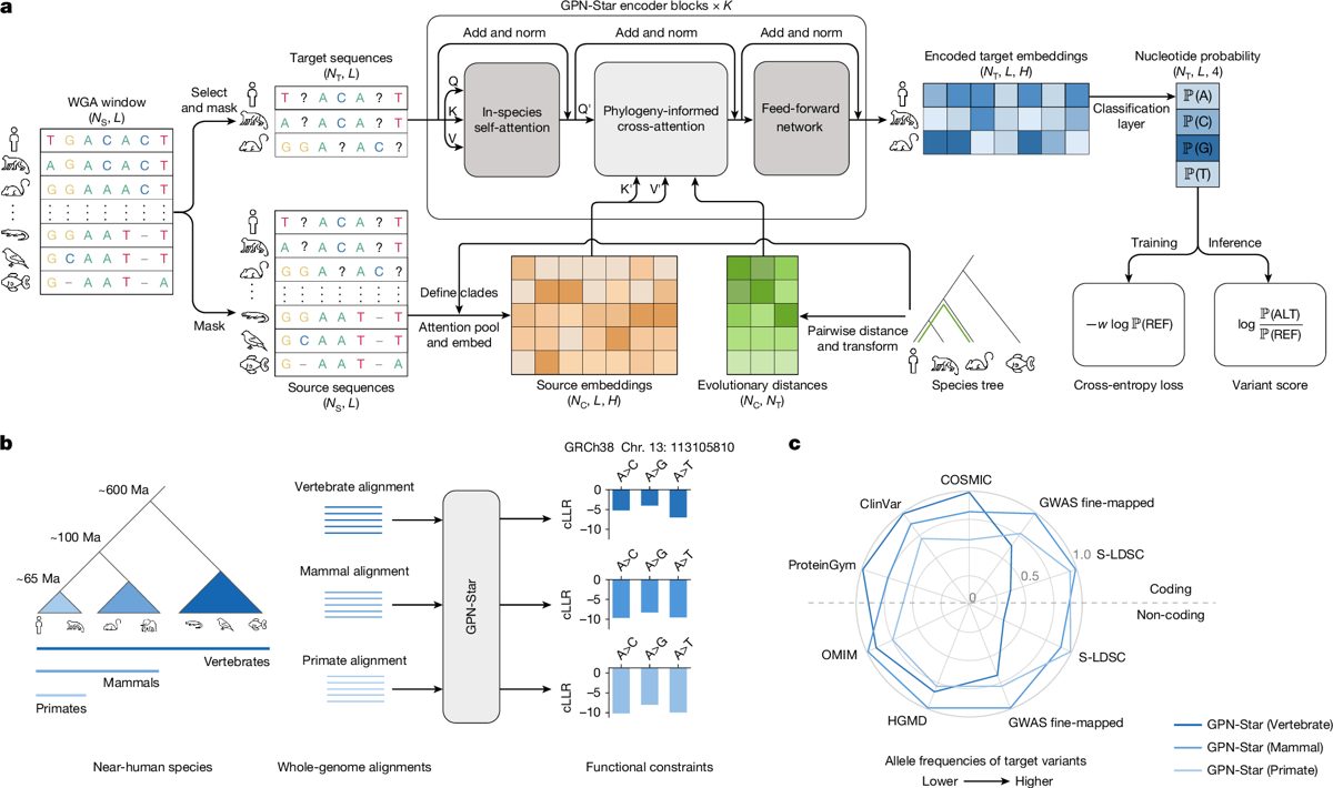 CRISPR & genbewerking