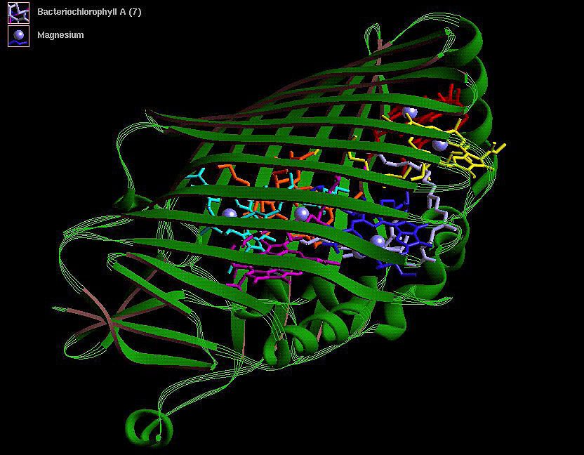 Synthetische biologie & kunstmatig DNA
