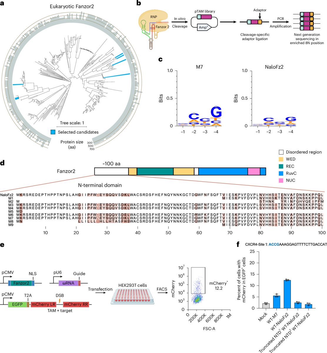 CRISPR & genbewerking