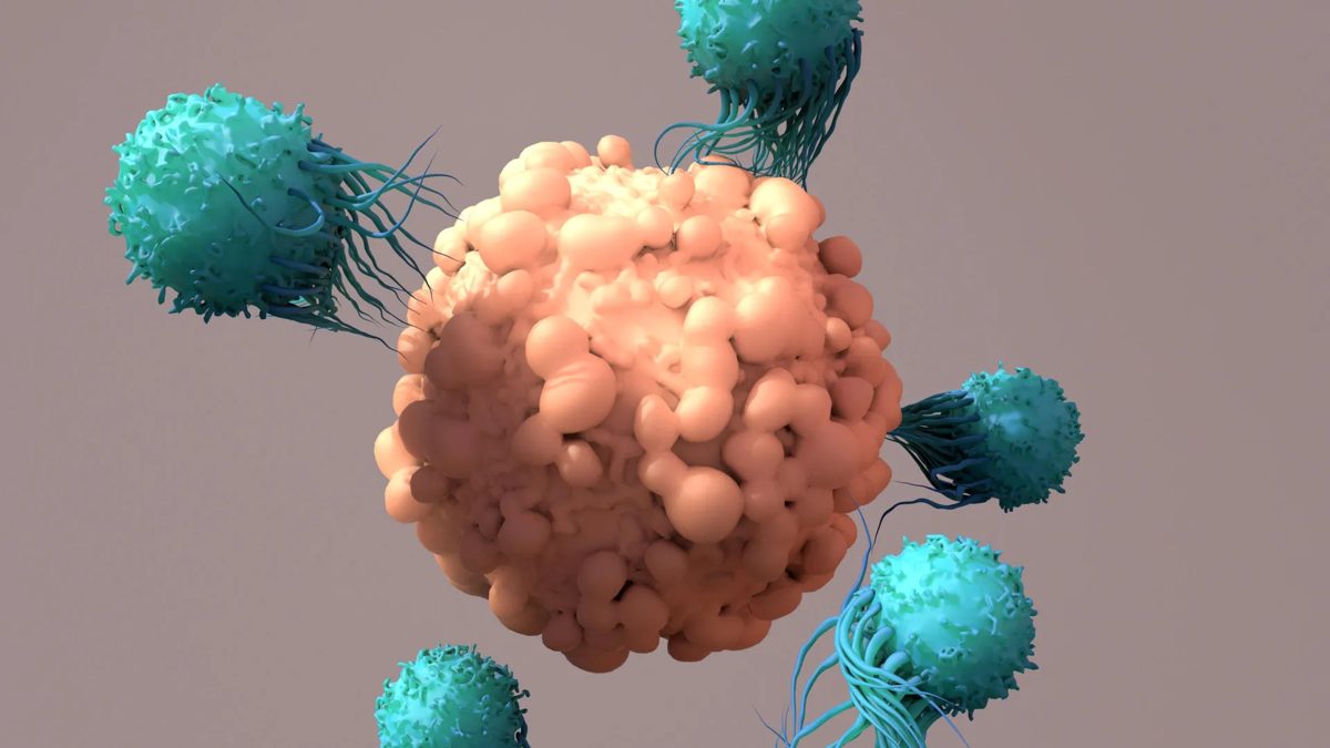 CRISPR & genbewerking
