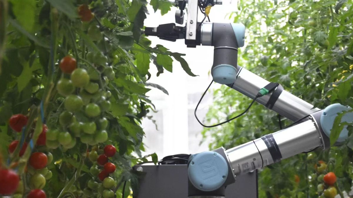 Humanoïde robots