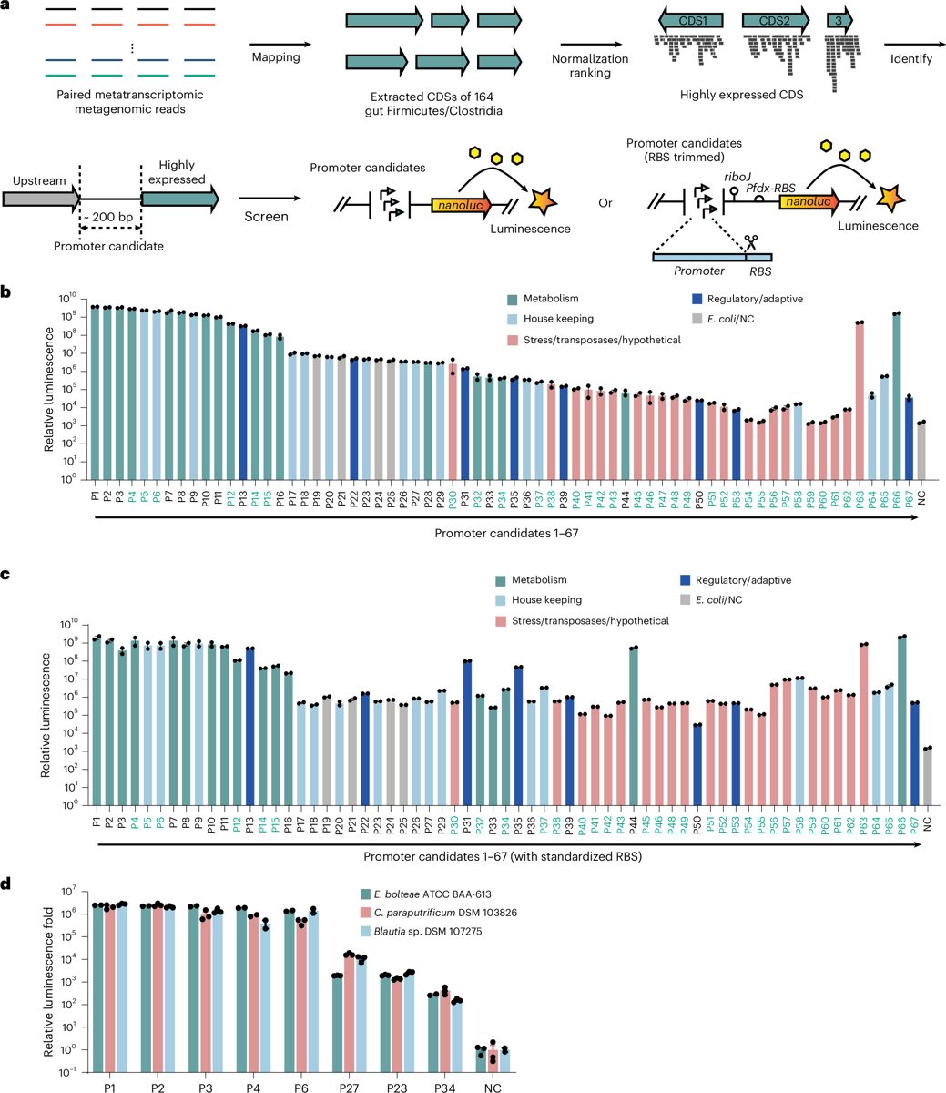 CRISPR & genbewerking