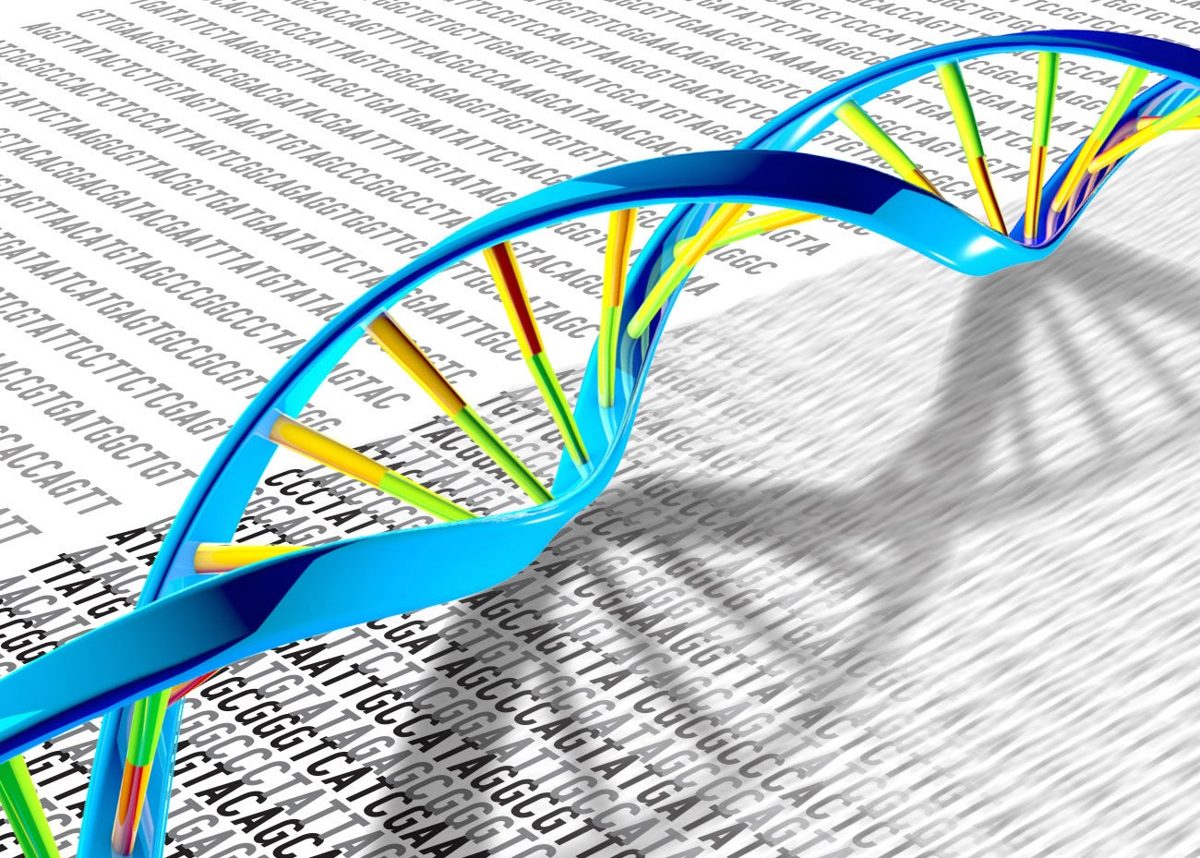 CRISPR & genbewerking
