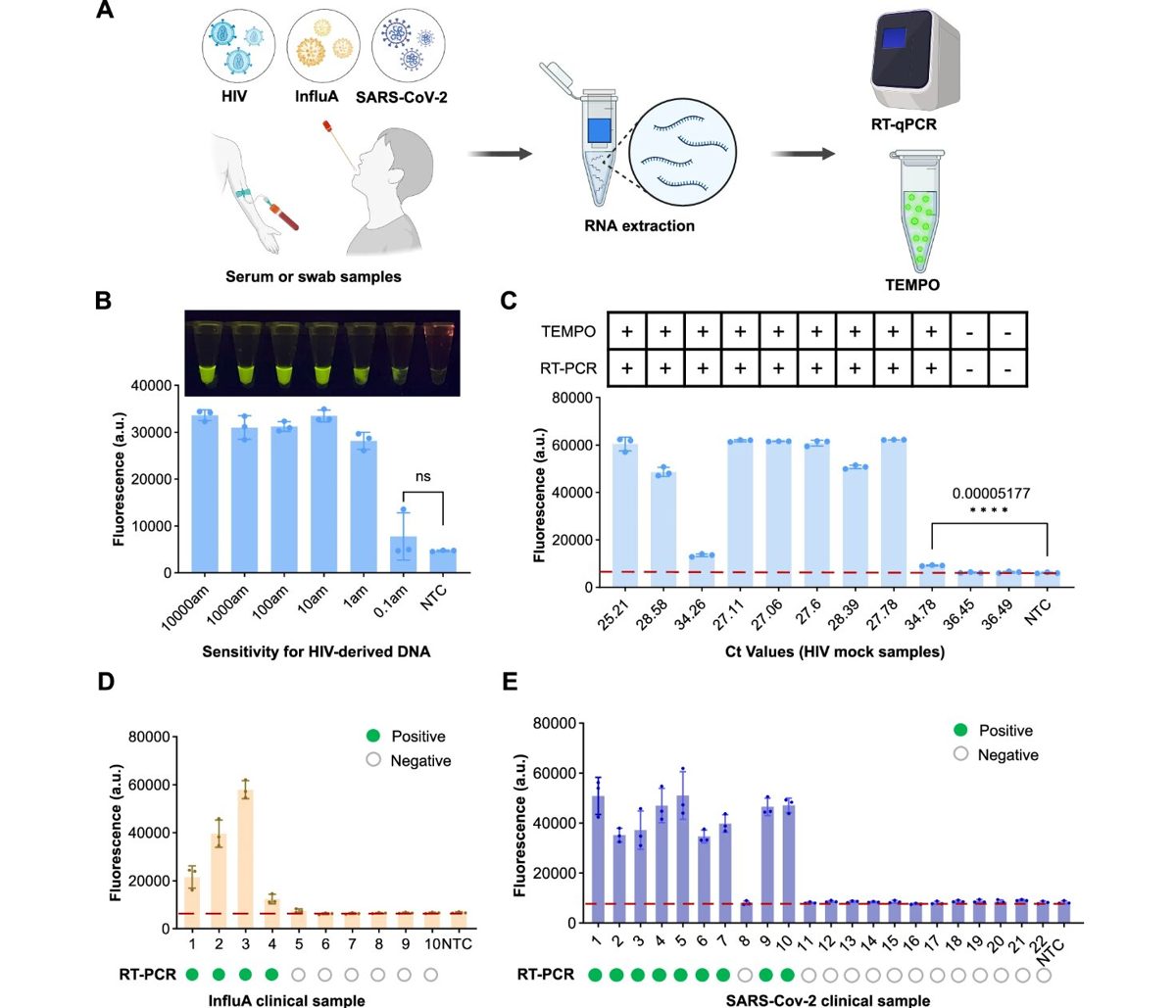 CRISPR & genbewerking