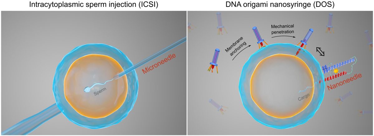 Synthetische biologie & kunstmatig DNA