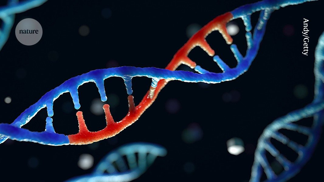 CRISPR & genbewerking