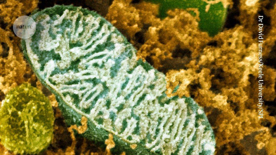 Synthetische biologie & kunstmatig DNA