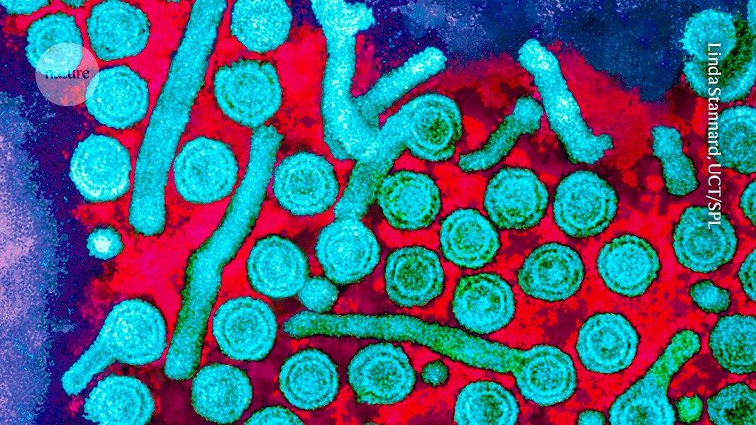 CRISPR & genbewerking