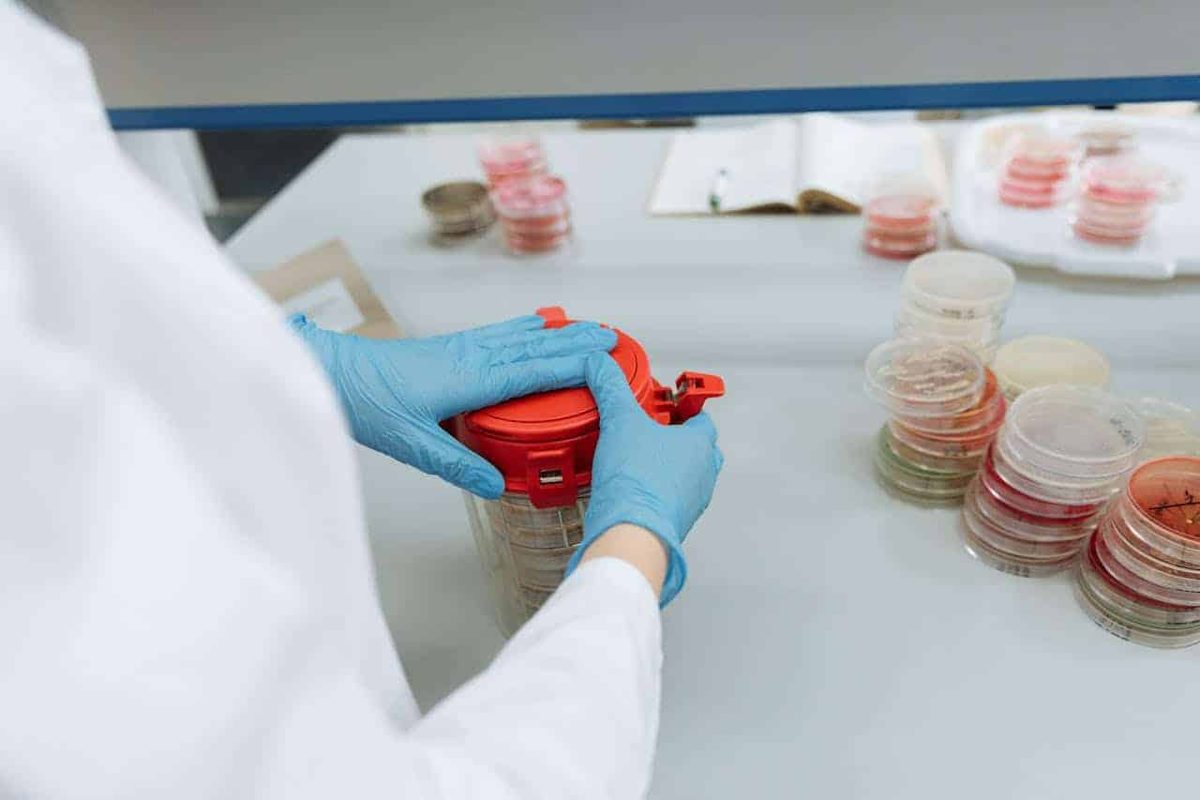 Synthetische biologie & kunstmatig DNA
