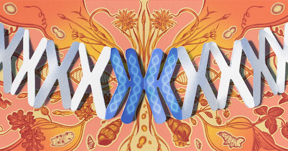 CRISPR & genbewerking