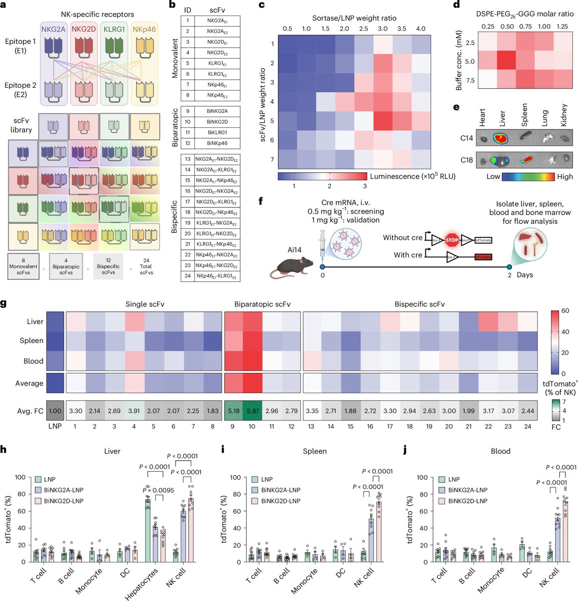 CRISPR & genbewerking