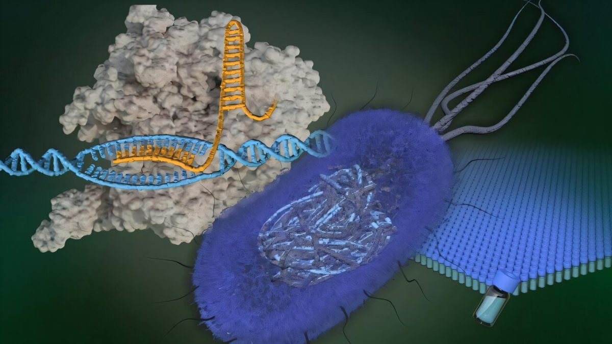 CRISPR & genbewerking