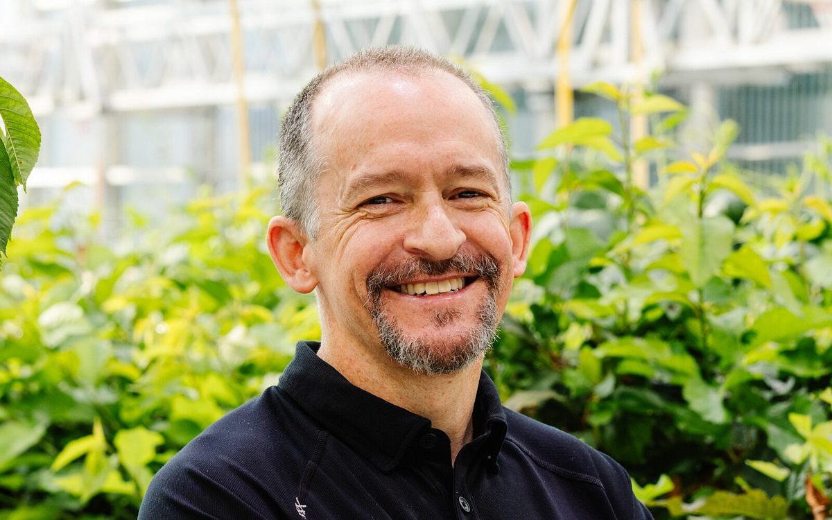 CRISPR & genbewerking