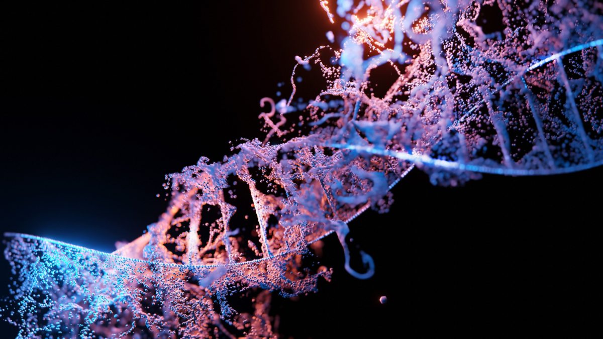 CRISPR & genbewerking