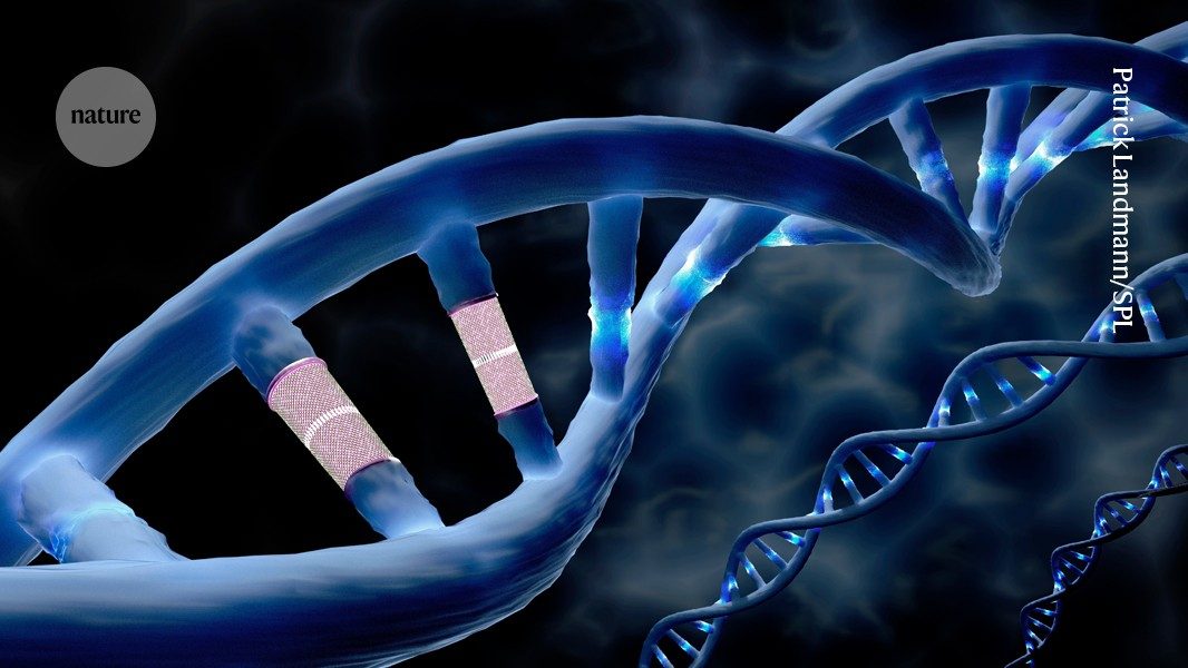 CRISPR & genbewerking