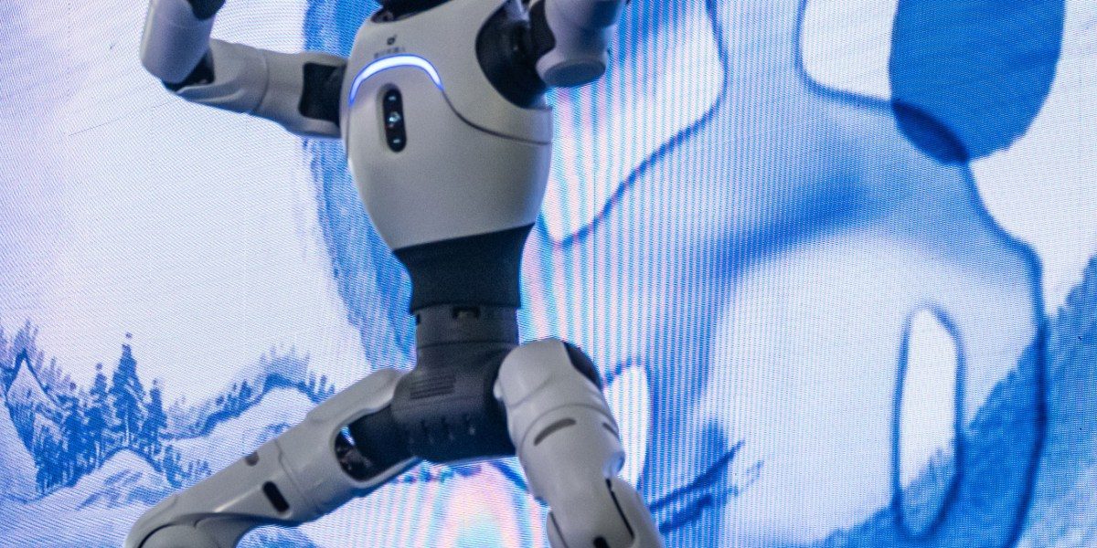 Humanoïde robots