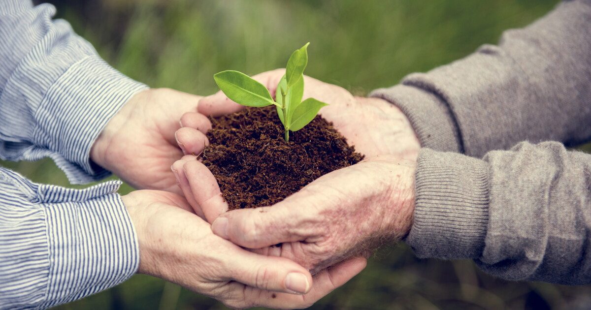 Longevity & anti-aging