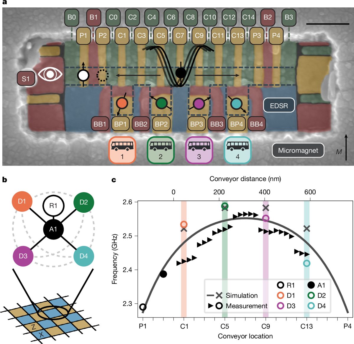Kwantumcomputing & AI-hybrides