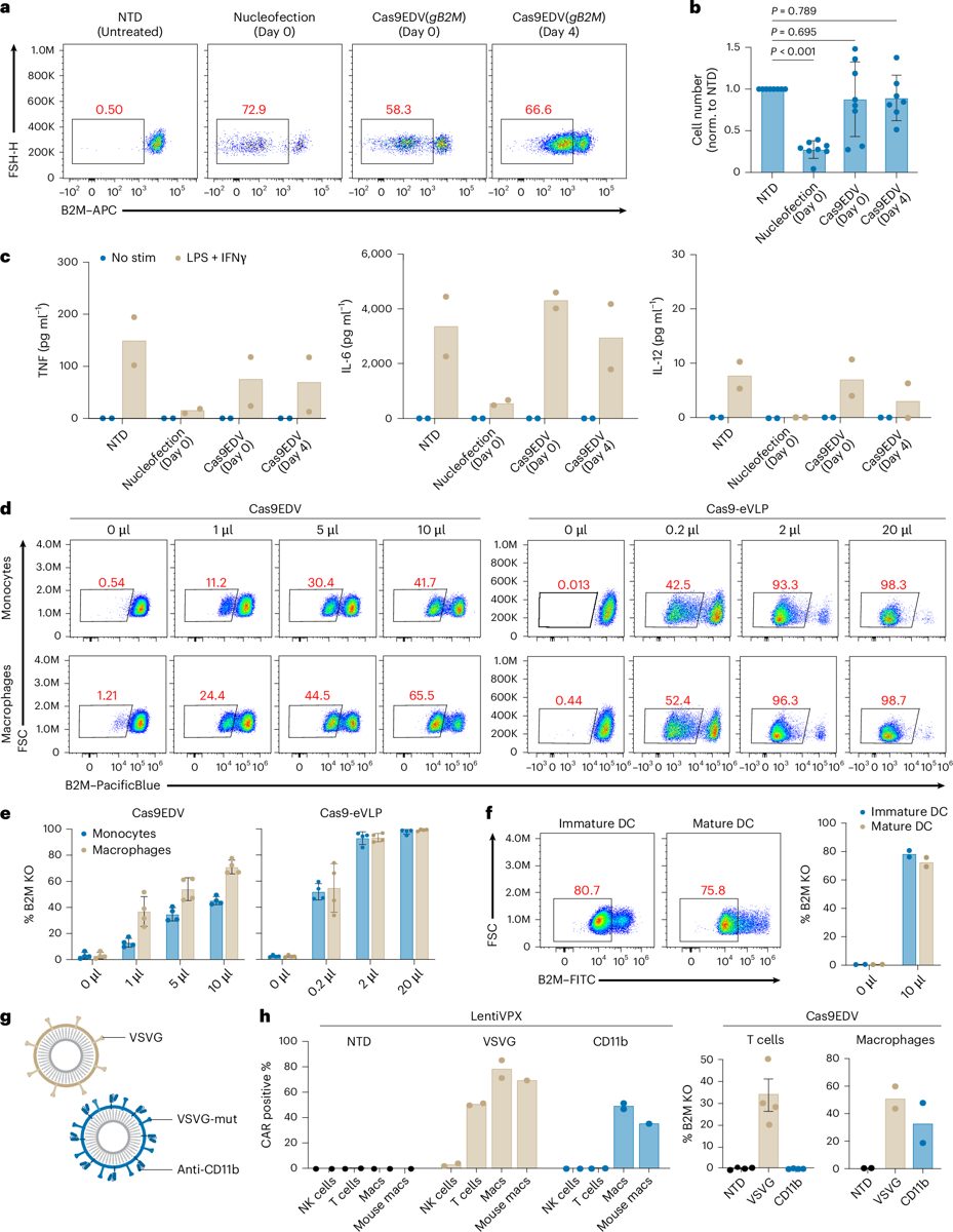 CRISPR & genbewerking