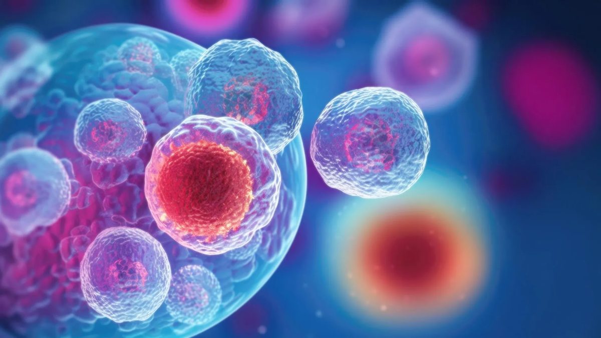 Longevity & anti-aging